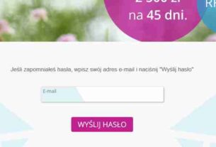 Lendon - szybka pożyczka przez internet