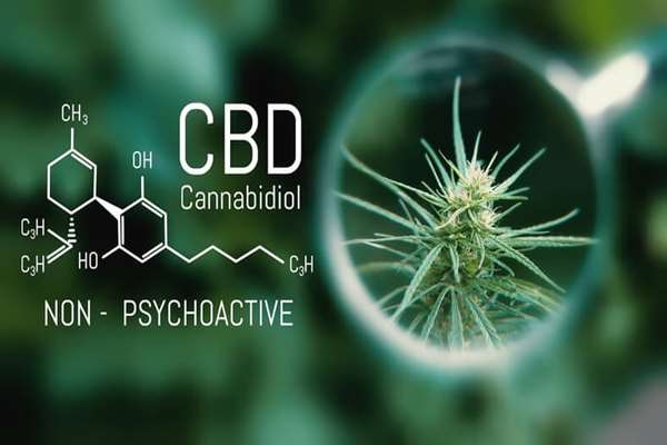 Oleje CBD: które stężenie wybrać i gdzie je kupić?